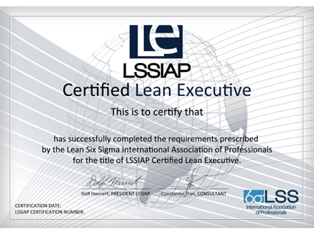 Lean Executive